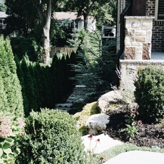 A lush garden with green shrubs, flowering plants, and a stone pathway on a sunny day. A brick building partially visible on the right. Tall trees and dense foliage create a serene, natural backdrop.