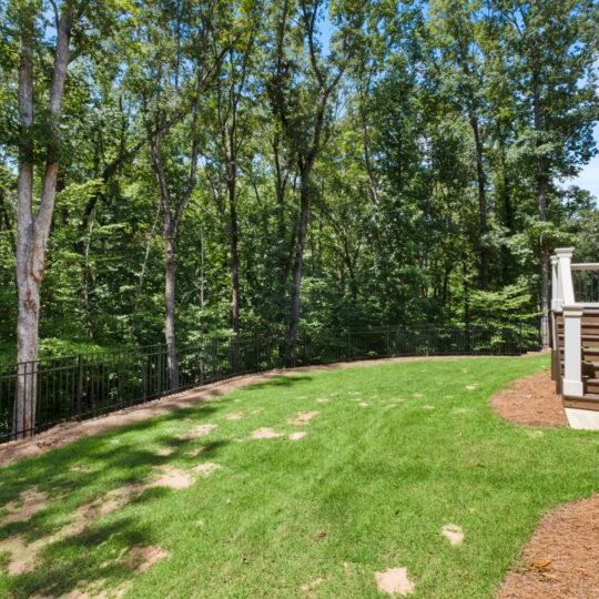 A lush green backyard bordered by a black metal fence, with large trees providing shade. A set of steps leads up to a house. The sky is clear and blue, indicating a sunny day.