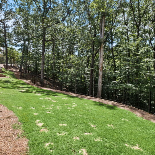 A backyard features a grassy area with patches of bare soil, leading to a dense forest of tall trees. A black metal fence runs along the edge of the yard, separating it from the woods. The sky is clear and sunny.