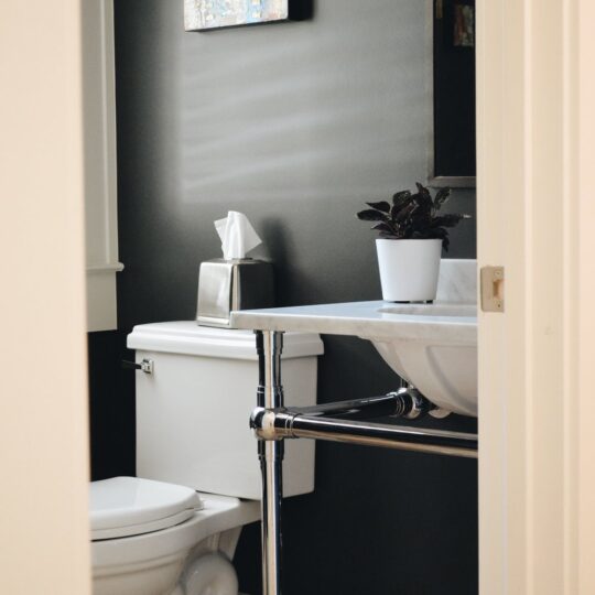 A small bathroom with a white toilet and wall-mounted sink. A potted plant sits on the sink. A box of tissues rests on the toilet tank. A small, colorful artwork hangs on the dark-colored wall above. Light filters in from an open door.