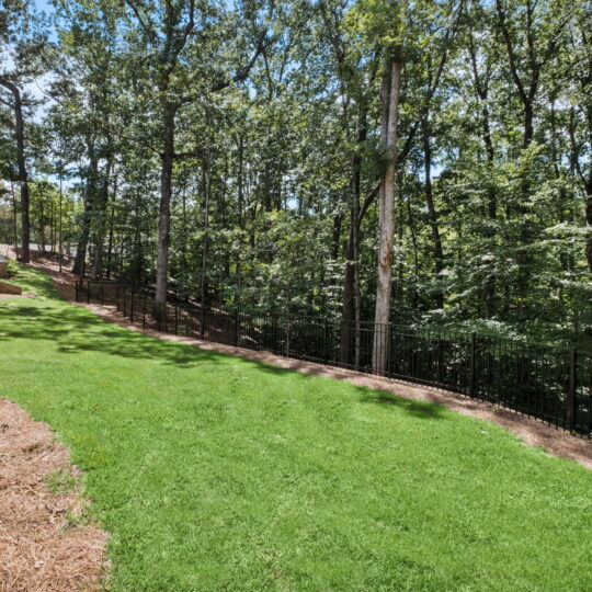 A backyard with a lush green lawn bordered by a metal fence, adjacent to a forest of tall, leafy trees. The houses corner is visible on the left, with a wooden fence extending from it. The sky is clear and sunny.